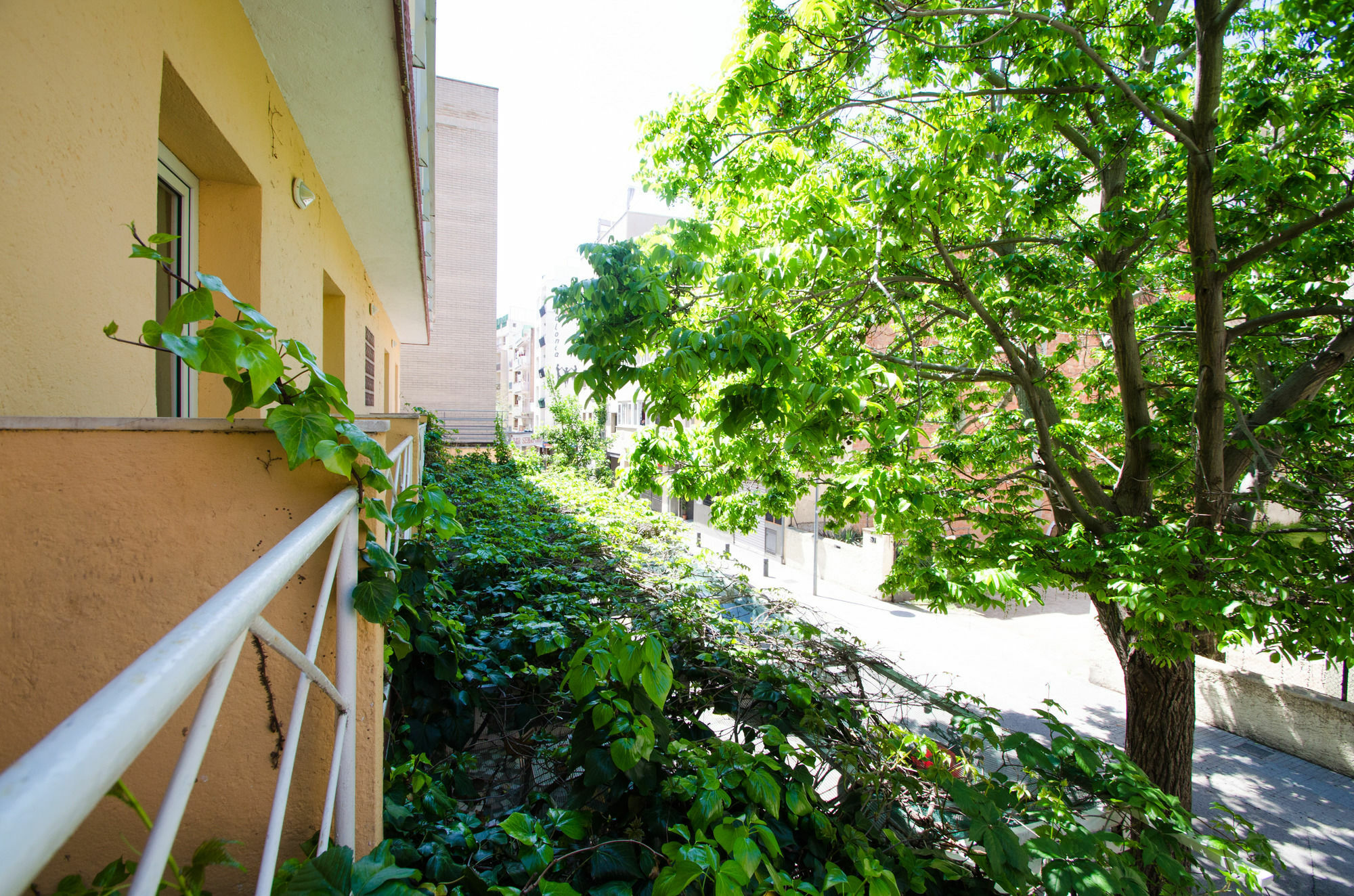 Lloret Gasthuis 2*